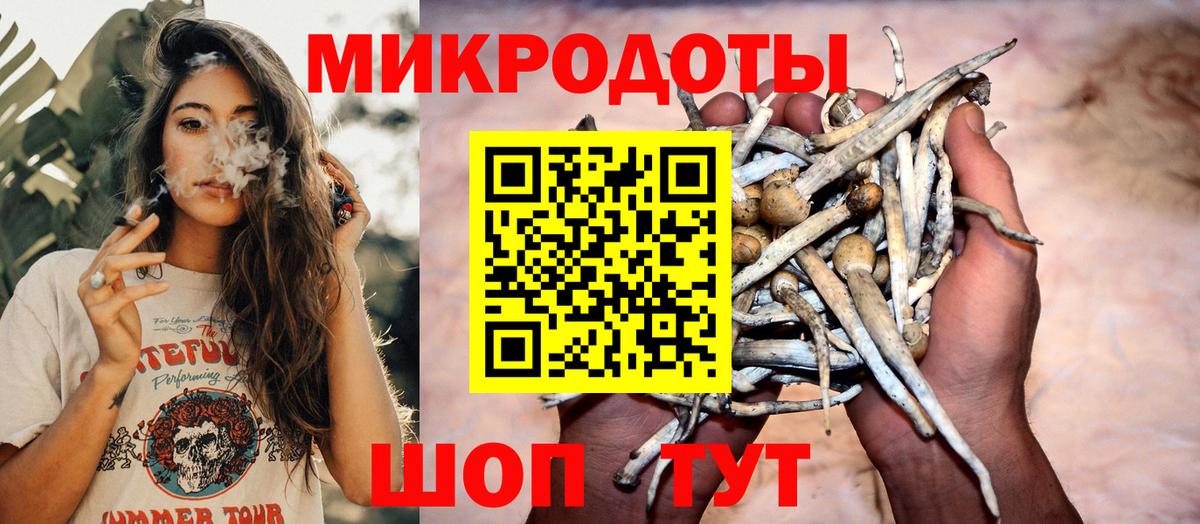 Туапсе  Псилоцибиновые грибы Magic Shrooms  Вход с VPN 