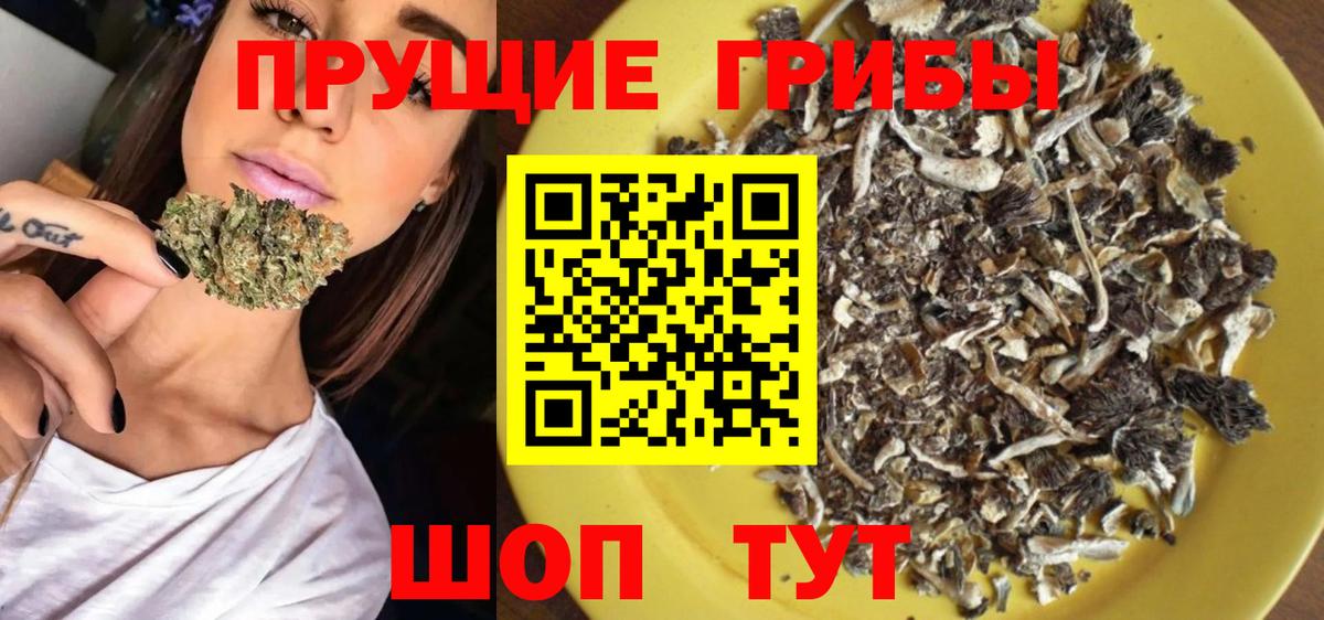 Псилоцибиновые грибы ЛСД Туапсе